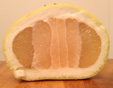 Oro Blanco Grapefruit Blackstar